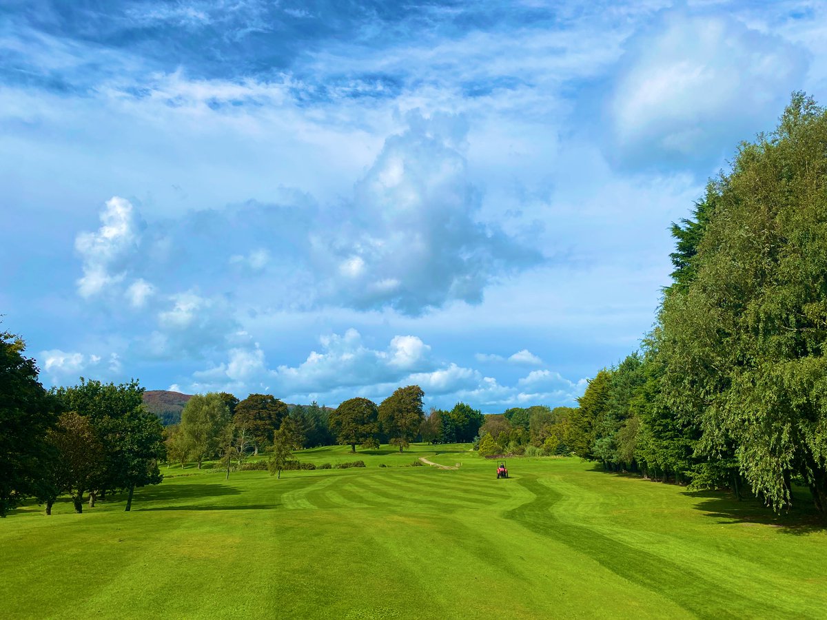 matt purcell tweet media