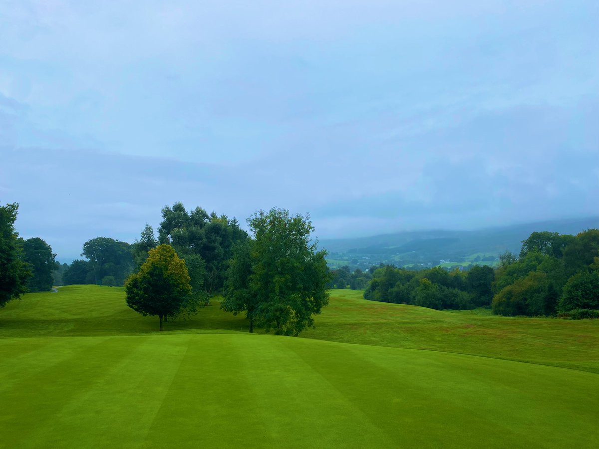 matt purcell tweet media