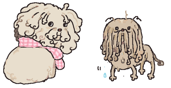 momo if they were a dog.. 