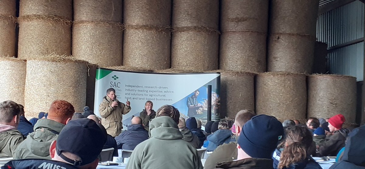 SACGrazeUp's tweet photo. Mob grazing vs rotational grazing 
Mob grazing great for big spaces, having a small number of groups, consolidating labour and effort and get across area well. 
#grazedebate2023 https://t.co/gspix1ieNx
