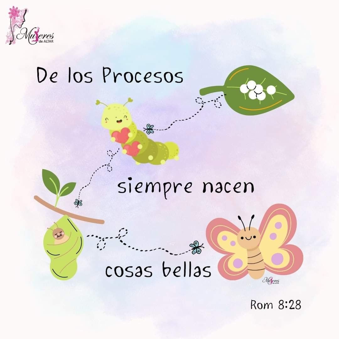 Nunca es tarde para cambiar el rumbo, vivir una nueva historia o contruir un nuevo sueño.🌸☀️🌸