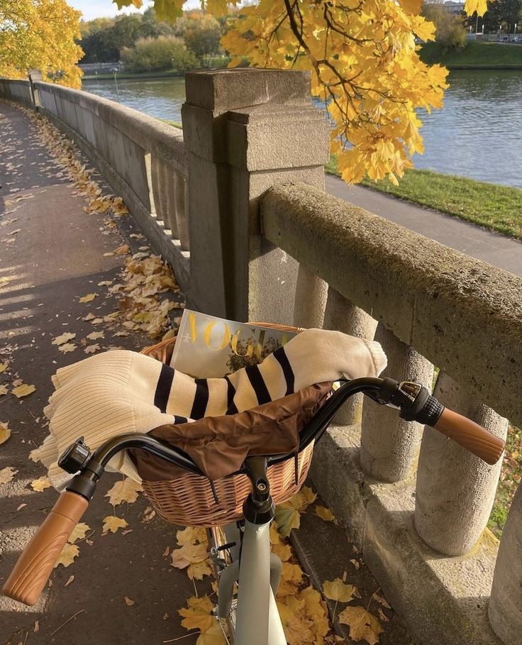 Autumn days 🍂☕🥯