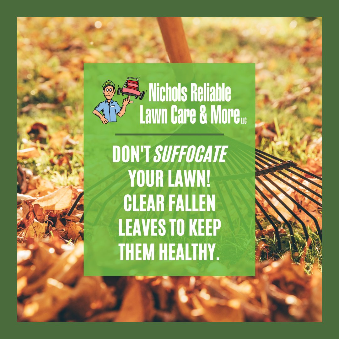 Nichols_Lawn's tweet image. Maintain a beautiful and thriving lawn. Get raking and rolling today! Or save yourself the time and effort and call in the professionals. 💪🍁 479.502.2192 nicholsreliable.com #LeafCleanup #NicholsReliable #lawncare #tipoftheday