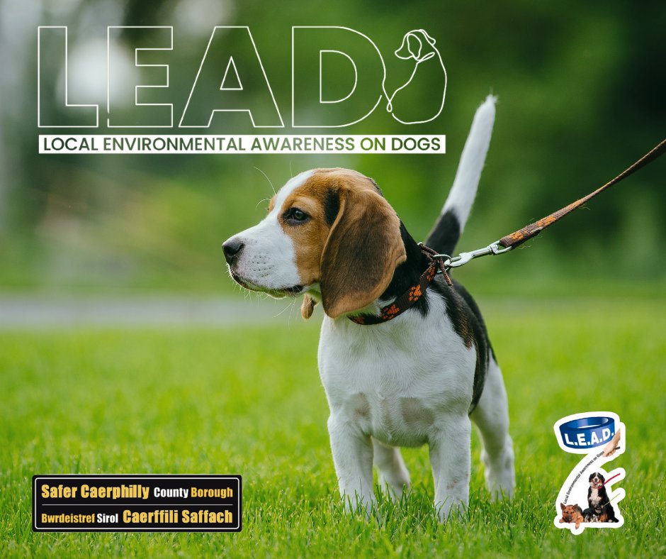 🐾Partners LEAD the way to encourage responsible dog ownership A new initiative to promote and encourage responsible dog ownership across the Caerphilly county borough has been launched this week. 📖Read more: bit.ly/48gmDHM ​🐾Partneriaid yn arwain y ffordd i annog…