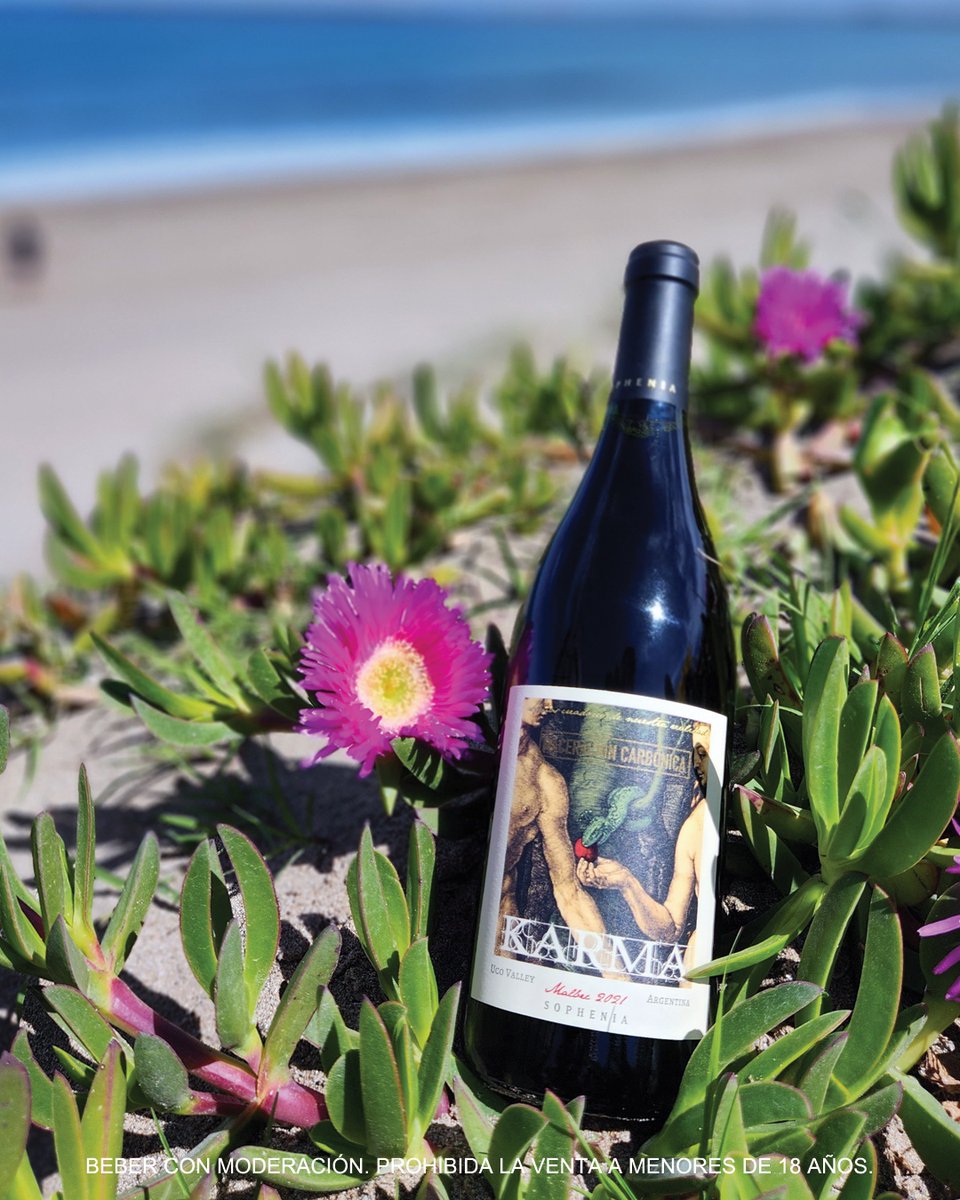 Karma Malbec Maceración Carbónica: un malbec fresco y frutado, con bajos taninos ideal para disfrutar el comienzo de la primavera. 

Karma Malbec Maceracion Carbonica: a fresh and fruity Malbec, with low tannins, ideal to enjoy the beginning of spring.