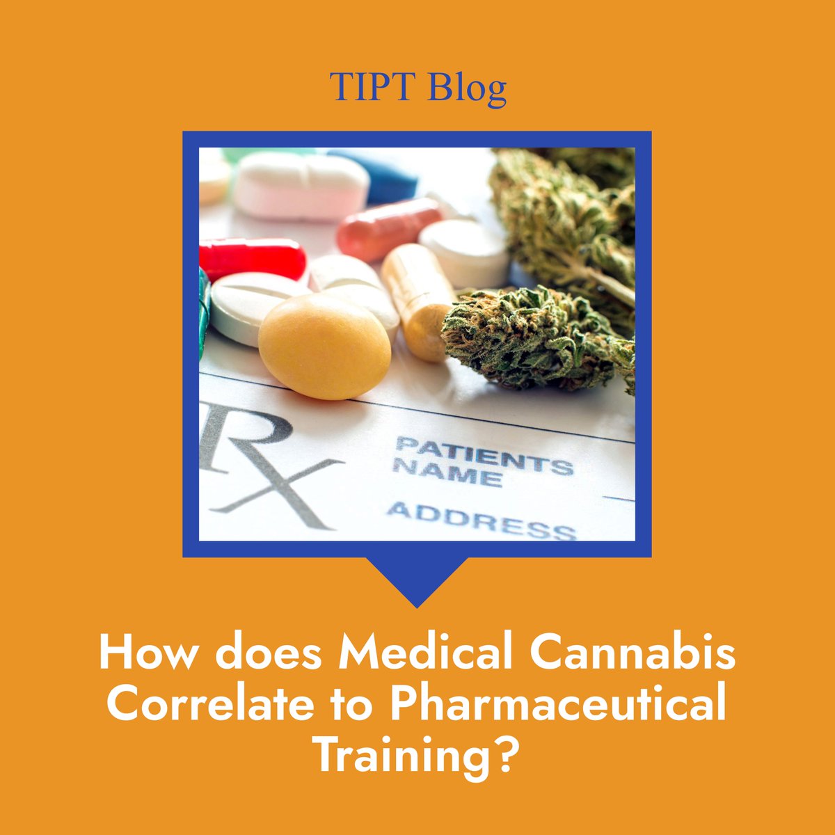 TIPTechnology's tweet photo. Learn about the relationship between Medical Cannabis and #PharmaceuticalTraining

🔗 Link: https://t.co/fVmjlMMR2h https://t.co/D9091mR1xm