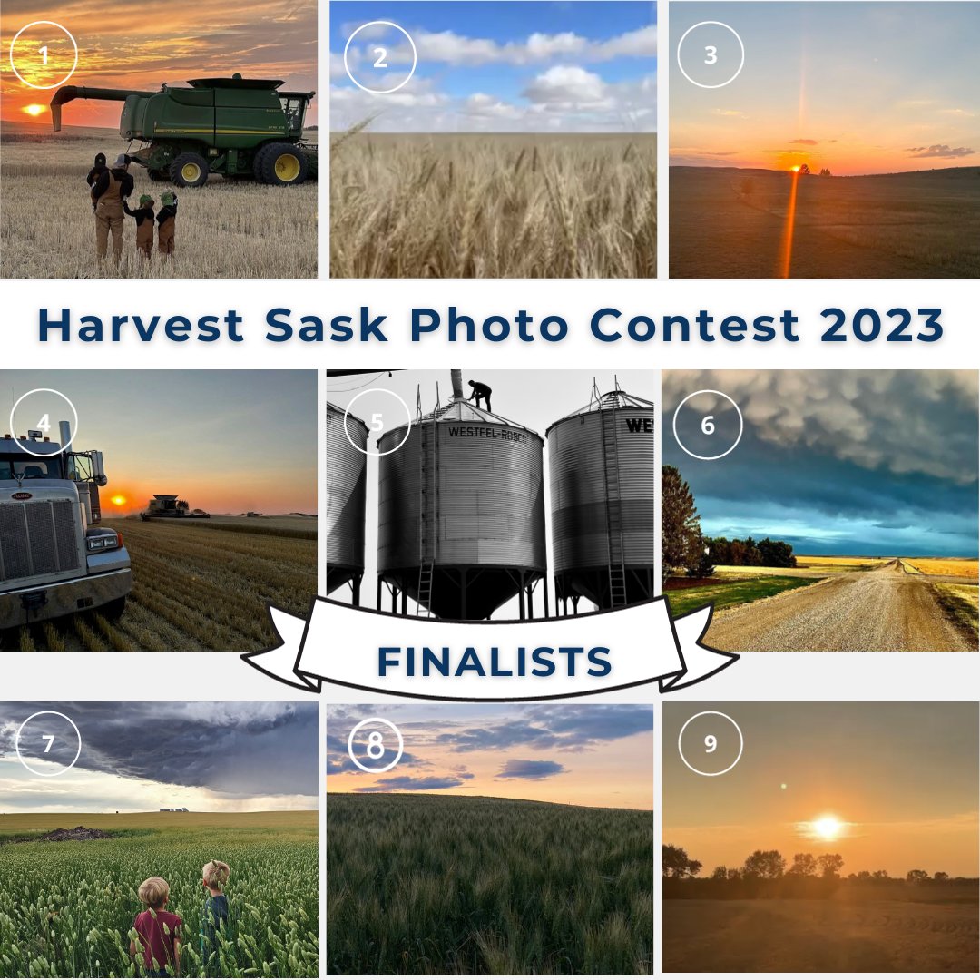 Atlas York Insurance tweet media