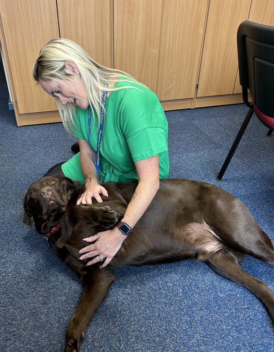 Mrs G gives the best belly rubs after a busy day in school!