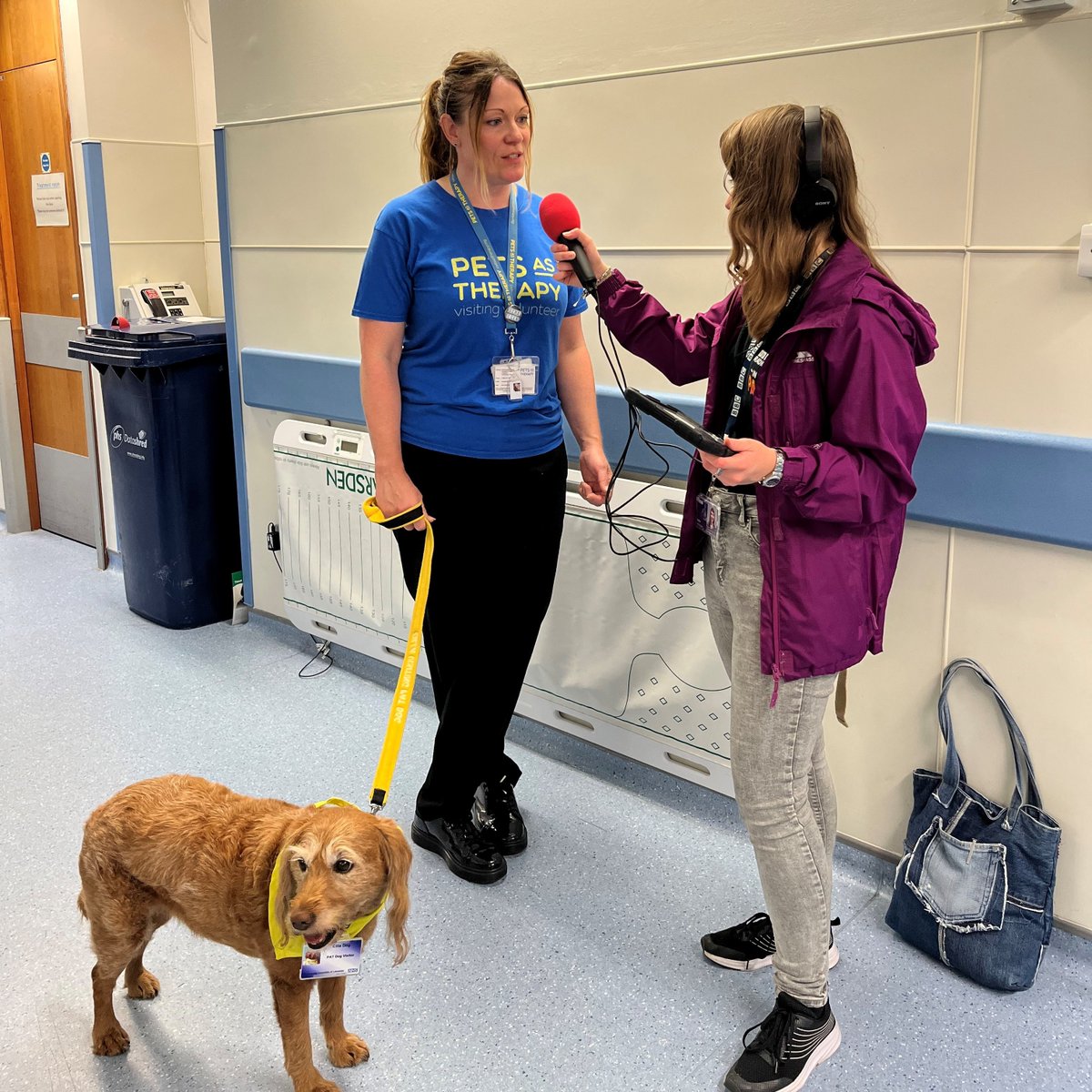 🐾Earlier this week, <a href="/BBCLeicester/">BBC Leicester</a>'s Ady Dayman Breakfast Show accompanied Ruth Johnson and her PAT dog, Cilla, for their fortnightly visit to the Adult Intensive Care Unit at the Leicester Royal Infirmary.

Hear what they got up to (from 1:41): bbc.co.uk/programmes/p0g…