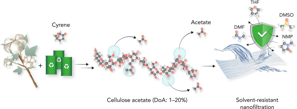 Journal of Membrane Science (@j_membrane_sci) on Twitter photo Check out 1st Editor Choice Article from August issue, from Prof. Gyorgy Szekely <a href="/SzekelyGroup/">The Szekely Group</a> at KAUST <a href="/AMPM_KAUST/">AMPM_KAUST</a>
Effect of acetylation degree on the solvent-resistance of cellulose nanofiltration membranes
sciencedirect.com/science/articl…
<a href="/LBandounas/">Luaine Bandounas</a>
<a href="/Rong_SMTCLab/">Rong Wang</a>
<a href="/jerrylinwoods/">Jerry Lin</a> Check out 1st Editor Choice Article from August issue, from Prof. Gyorgy Szekely <a href="/SzekelyGroup/">The Szekely Group</a> at KAUST <a href="/AMPM_KAUST/">AMPM_KAUST</a>
Effect of acetylation degree on the solvent-resistance of cellulose nanofiltration membranes
sciencedirect.com/science/articl…
<a href="/LBandounas/">Luaine Bandounas</a>
<a href="/Rong_SMTCLab/">Rong Wang</a>
<a href="/jerrylinwoods/">Jerry Lin</a>