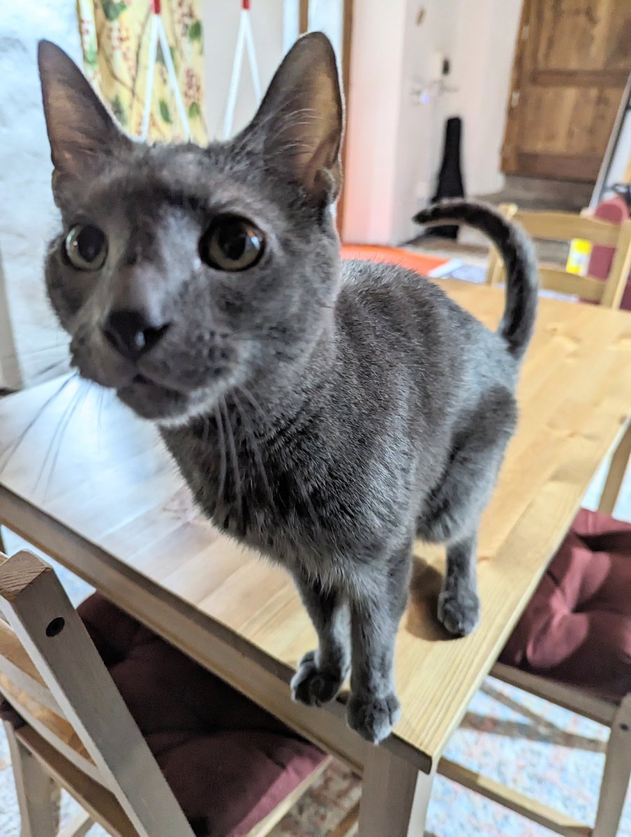 Steph🎨 tweet media