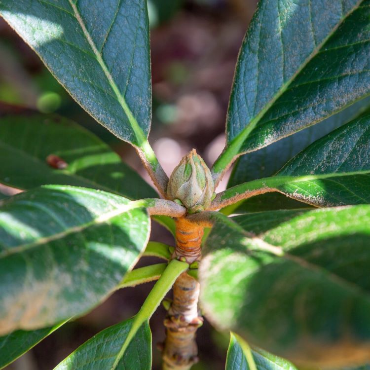 Dive into our latest blog from <a href="/exburygardens/">Exbury Gardens & Steam Railway</a> for endless reasons to visit this September. Expect autumn colours in full bloom 🍁 and tranquil nature moments. 
Remember, RHS Members get in FREE this month! Plus, exciting half-term events are lined up!  👇 
lymington.com/lymington/128-…