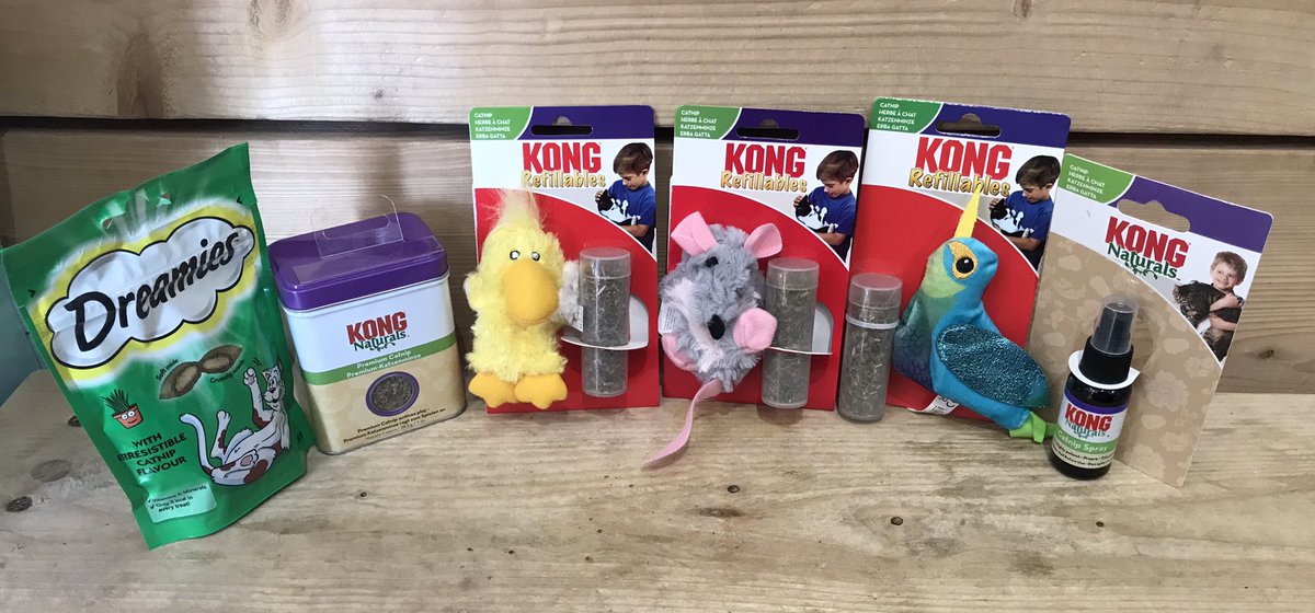 Got to love a bit of Catnip 😻🙀🤪
#catnip
#catsgomadforcatnip
#catsneedtoplay