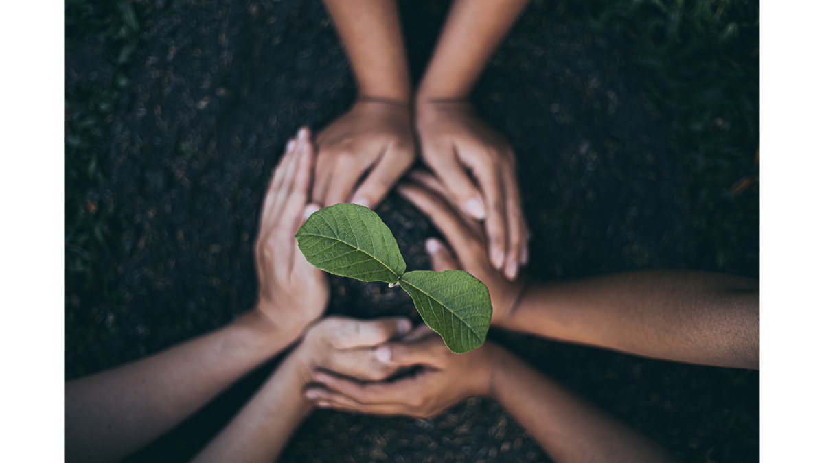 ProtecBotanica's tweet photo. Through our Sustainability Pledge, ProTec Botanica integrates environmental stewardship, social responsibility, and a commitment to quality into its core values and operations. Read more on our blog: https://t.co/62c6TzyLrg https://t.co/5Nb0gKPiUJ