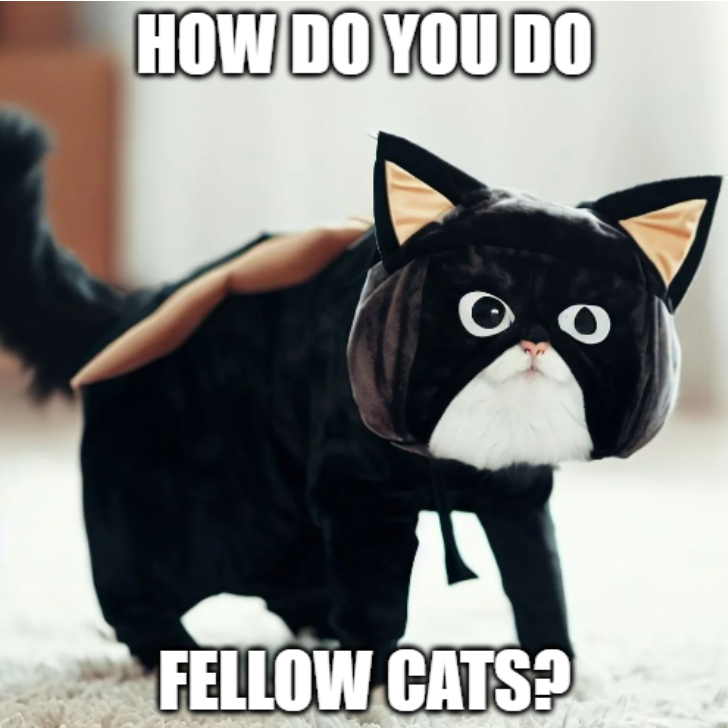 Pocketables (@pocketables) on Twitter photo 