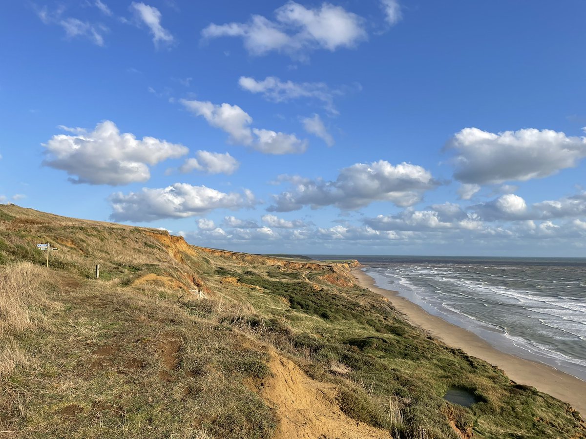 Kate Newby tweet media