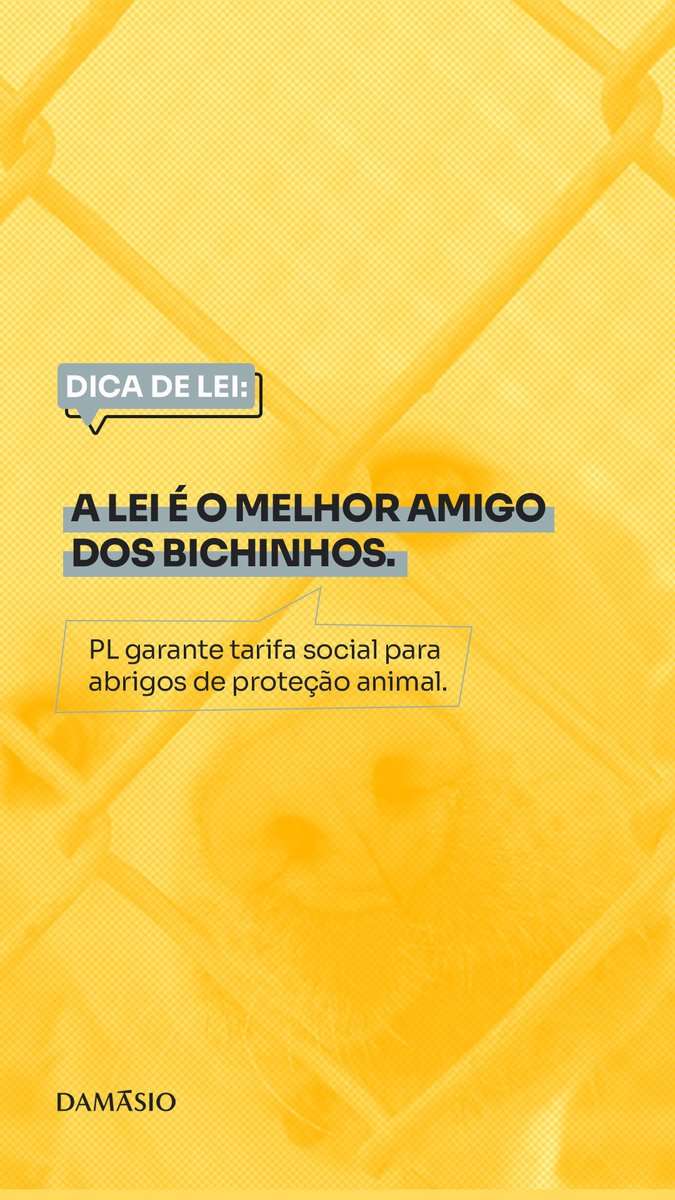 damasiogru's tweet photo. https://t.co/l3BhCNYQiz