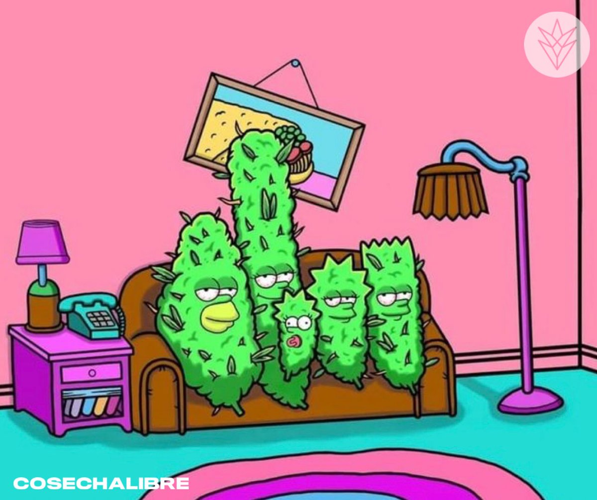 Cosechalibre tweet media