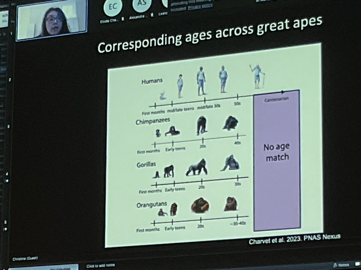 katjaQheuer's tweet photo. Last session kicked off by @cj_charvet with an amazing presentation on Translating time from multiple scales of organisation.
#compMRI @R3RT0 @NeuroecologyLab @AssafLab https://t.co/VEwIajFMe0