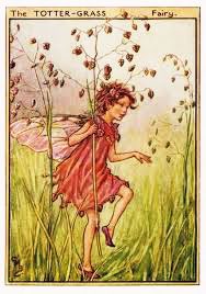 An #Autumnfairy for my #northernhemisphere friends. It is the Totter-Grass Fairy by #CicelyMaryBarker