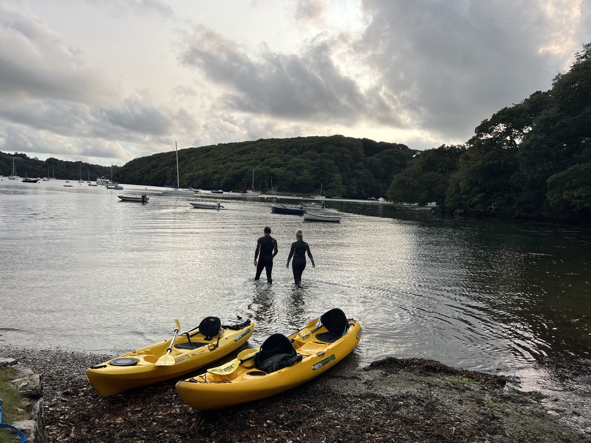 Koru Kayaking tweet media