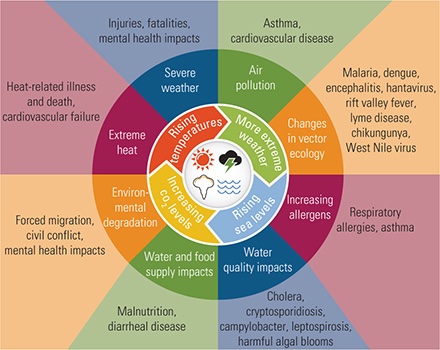 Some helpful visuals re: how climate change hurts human health today👇 It's here now & escalating. Our best chance is to work together to #endfossilfuels & end #overconsumption (#overshoot). #extremeheat #wildfires #airquality #flooding #climatehealthemergency #climatecomm