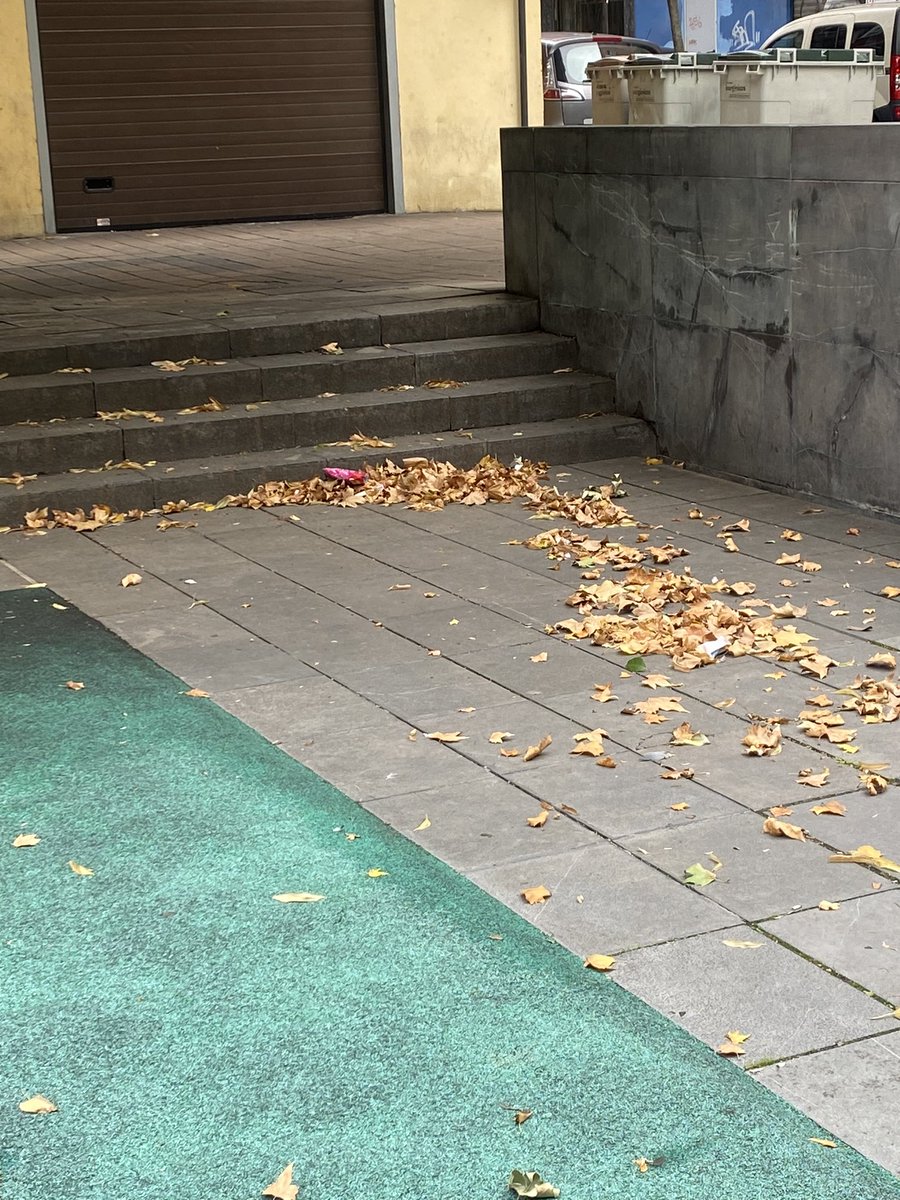 _bender_6_Mario's tweet photo. @AyuntamientoVLL esto es el día a día en el parque de la calle Luis Rojo,en el número 10.Hemos llamado para que venga el servicio de limpieza y seguimos esperando https://t.co/FwUhX7Zg4Y