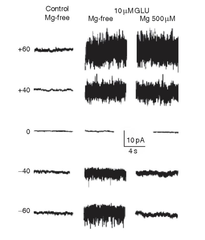 BowTiedNeuron | Neuroscientist tweet media
