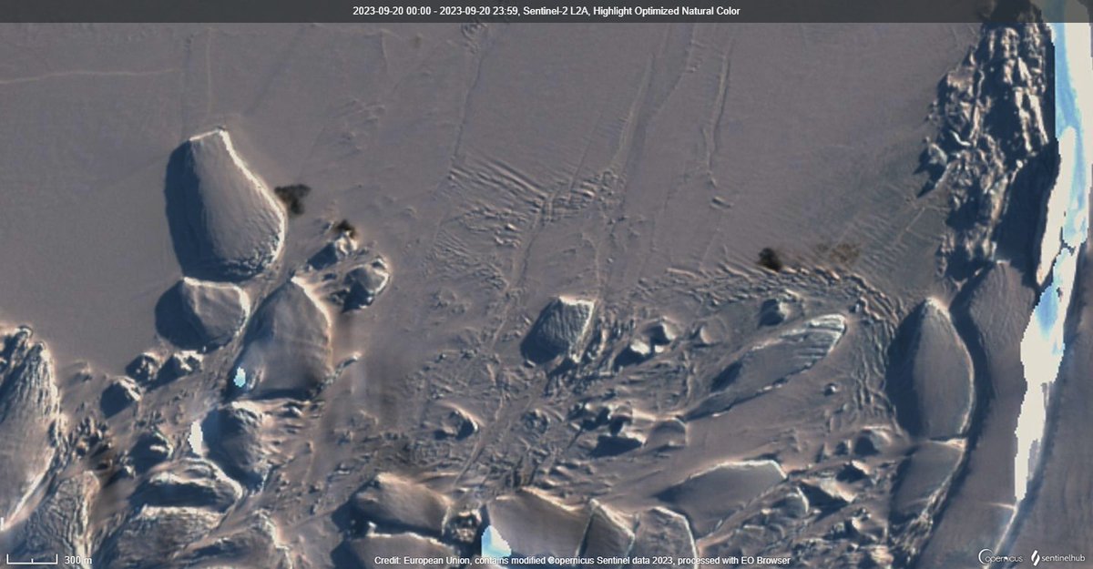 🐧🇦🇶 The first spring image of the Dawson Lambton Glacier Emperor Penguin colony from Sentinel 2 (20-Sep-23) shows the colony has survived the passage of iceberg A81. As expected no sign of Halley Bay colony.(Data <a href="/sentinel_hub/">Sentinel Hub</a> , <a href="/ESA_EO/">ESA Earth Observation</a> <a href="/CopernicusEU/">Copernicus EU</a>). @BBCAmos