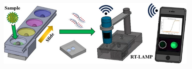 AnalBioanalChem's tweet photo. Mayaro #virus detection by integrating #SamplePrep with isothermal amplification in portable devices
by Z. Hugh Fan et al @IMG_at_UF @UFexplore @UF @uflmae @UFNews @UF_EPI @UFPHHP @MountSinai_Path @IcahnMountSinai @UFBME @UFChemistry @Betopaniz #MAYV
https://t.co/MwmPHhJg4w https://t.co/559jwLdH8U