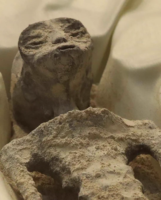 No te quedes "moñeco" y comparte nuestro podcast, porfis.
"Tertulias en Pangea", lo podéis encontrar en <a href="/Ivoox/">iVoox</a>.
ivoox.com/coprolitos-exc…