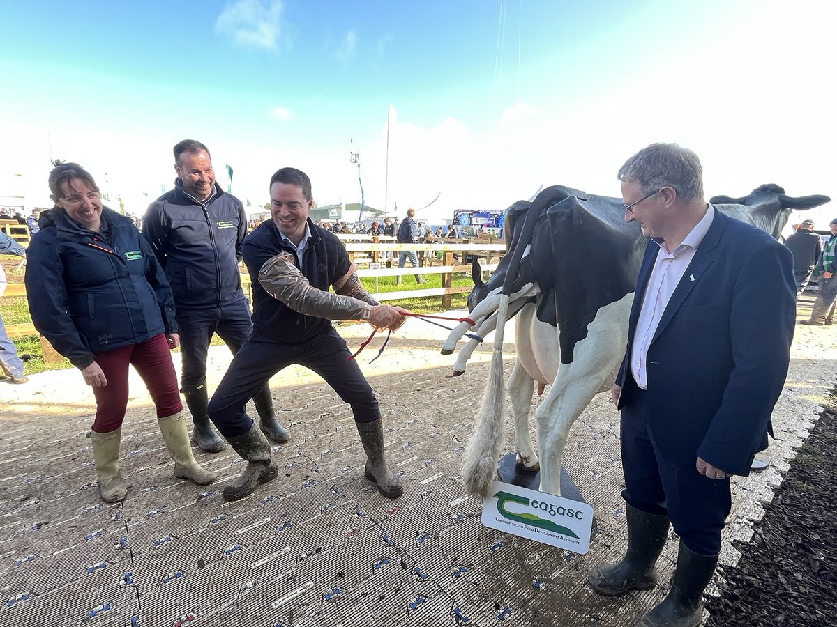 Minister @martinheydonfg announces the launch of 11 calving simulators and 11 injecting simulators for use in Teagasc agricultural colleges and research centres. Read details here bit.ly/3LyqeXX #Ploughing2023 #govploughing23