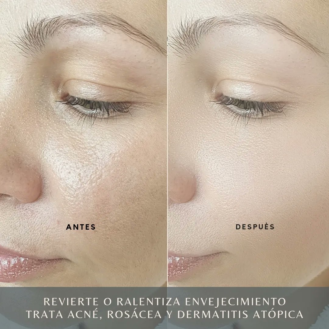 Slow Life House tweet media