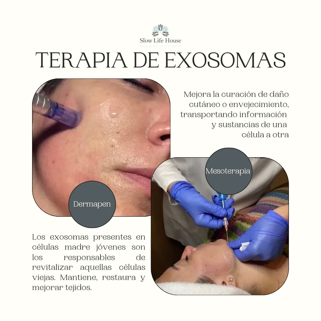 Tratamiento facial con exosomas: qué es, cómo se aplica y dónde realizarlo
slowlifehouse.com/tratamiento-fa…

#exosomas #cronoenvejecimiento #envejecimiento #pielsana #acné #rosácea #dermatitisatópica