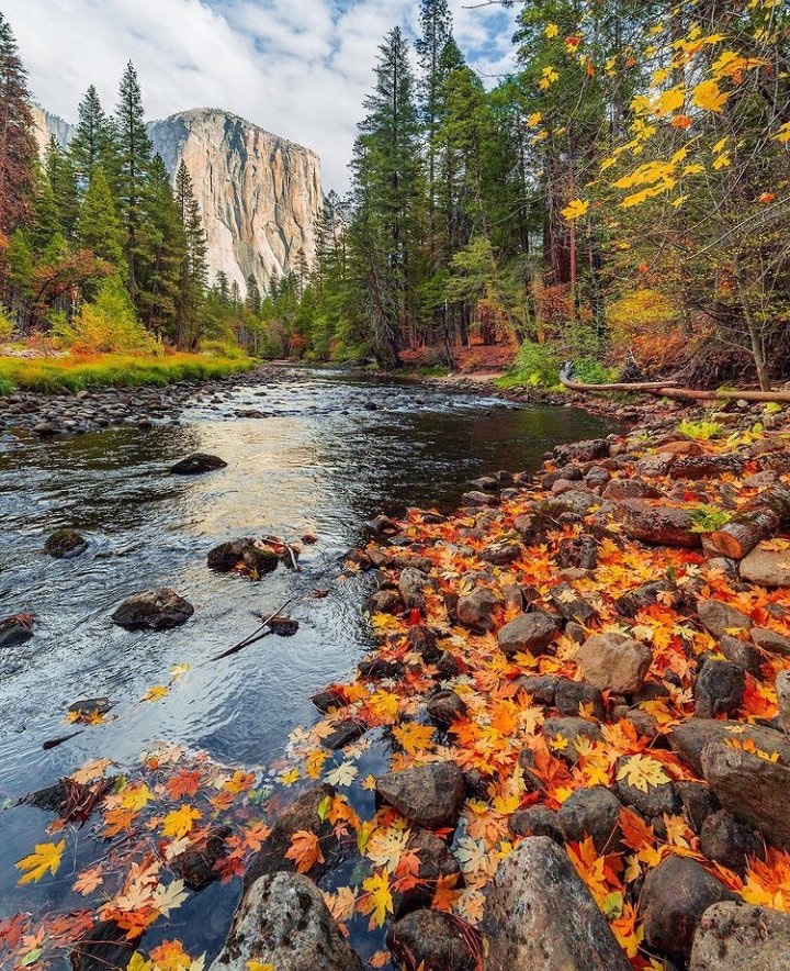 Julia177618091's tweet photo. Happy thursday🍂

Nagure yosemite national park https://t.co/CCG5Kadqqp