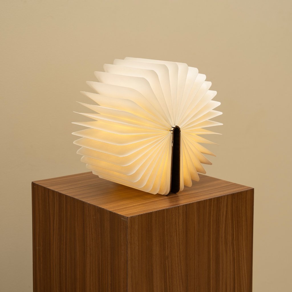 HelloLumio's tweet image. Turn your home into an art gallery with Lito - the lamp that transforms into a light sculpture.

hellolumio.com
⁠
#hellolumio #lumio #lito #booklamp