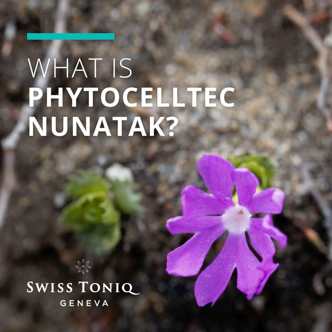 With PhytoCellTec Nunatak, you get the robust properties of Saponaria pumila, a rare Alpine flower that survived the ice age, & unique mechanisms for protecting & repairing yourself.

Experience this with our Double Stem Cell Repair Anti-Age Serum!

#swisstoniq #antiaging