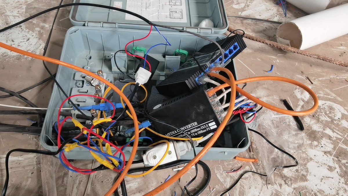 AlexanderWolf tweet media