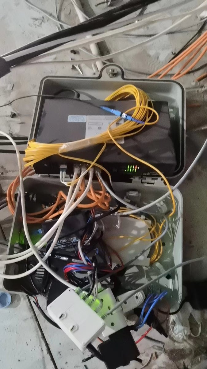 AlexanderWolf tweet media