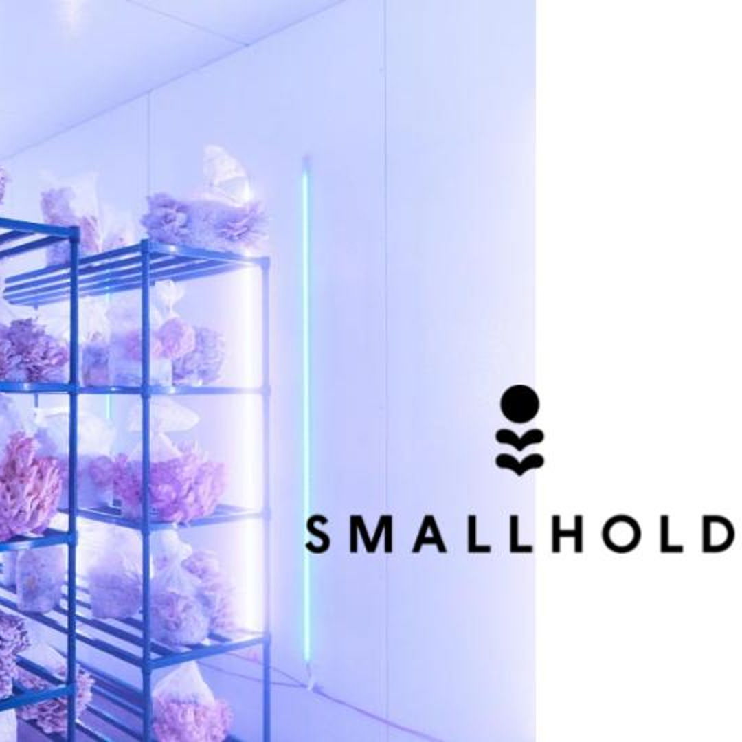 newyorkmyc tweet media