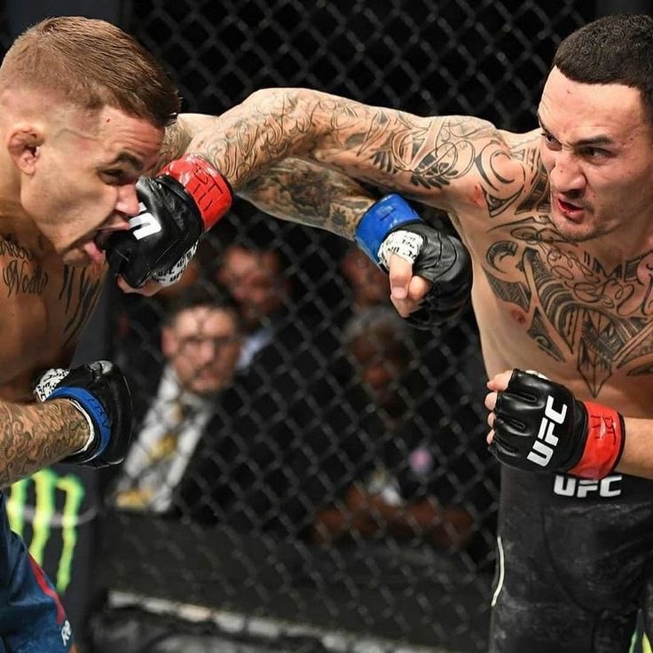 Fighting Pics that go hard tweet media
