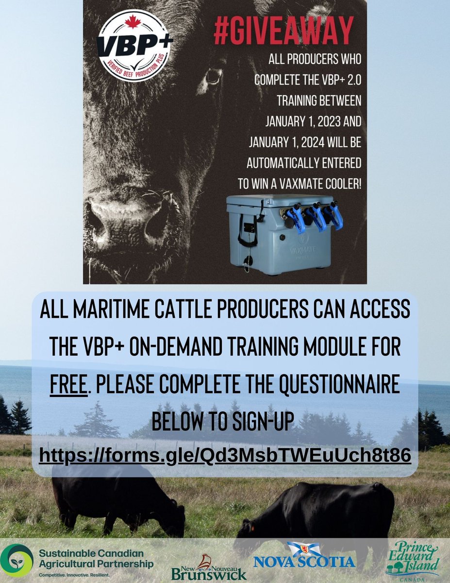 All maritime cattle producers can access the VBP+ on-demand training module for free!

Complete the questionnaire to sign up!

ow.ly/E3qG50PMNnQ