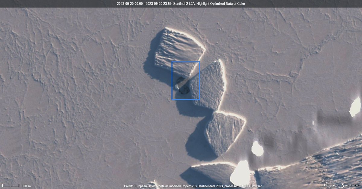 🐧🇦🇶 Possible new Emperor Penguin colony on sea ice 
 about 36 km from Dawson Lambton glacier colony. Imaged by Sentinel 2 (20-Sep-23). Nothing seen at this location in 2022. (Data <a href="/sentinel_hub/">Sentinel Hub</a>, <a href="/ESA_EO/">ESA Earth Observation</a>, <a href="/CopernicusEU/">Copernicus EU</a>). @BBCAmos
