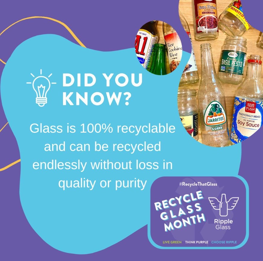 rippleglass's tweet photo. ⁉️ Did you know? Unlike other materials, glass can be recycled over and over without EVER losing quality! 💜 #ChooseGlass #RecycleThatGlass⁠
⁠
♻️ Click on this link for more fun facts: https://t.co/ZUlyYyeXyP https://t.co/BTSUJipVqc