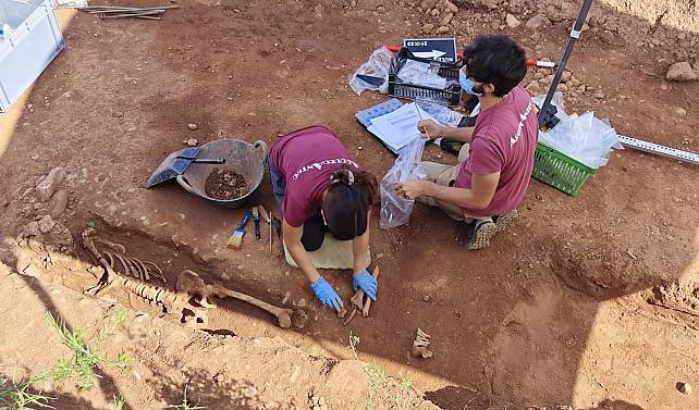 RTVE Comunitat Valenciana tweet media