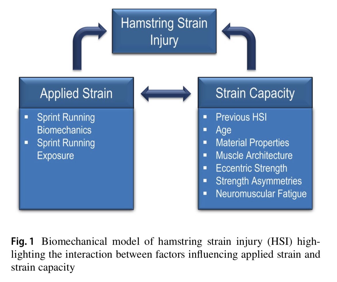 StuartMcMillan1's tweet photo. Really excellent work from @chrisbramah and crew on hamstring injuries 

“ …current injury prevention and rehabilitation programs do not adequately address all factors influencing HSI and reinjury”

https://t.co/gIlsRfVCgy. https://t.co/crfVKaOr6b