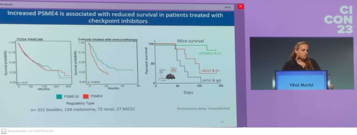 How cancer cells throw away their garbage does matter for ICI efficacy. NSCLC with alteration in proteasome functions (PSME4 high) have low antigenicity, highly immune suppressive TME and resistance to ICI. #CICON23 @YMerbl