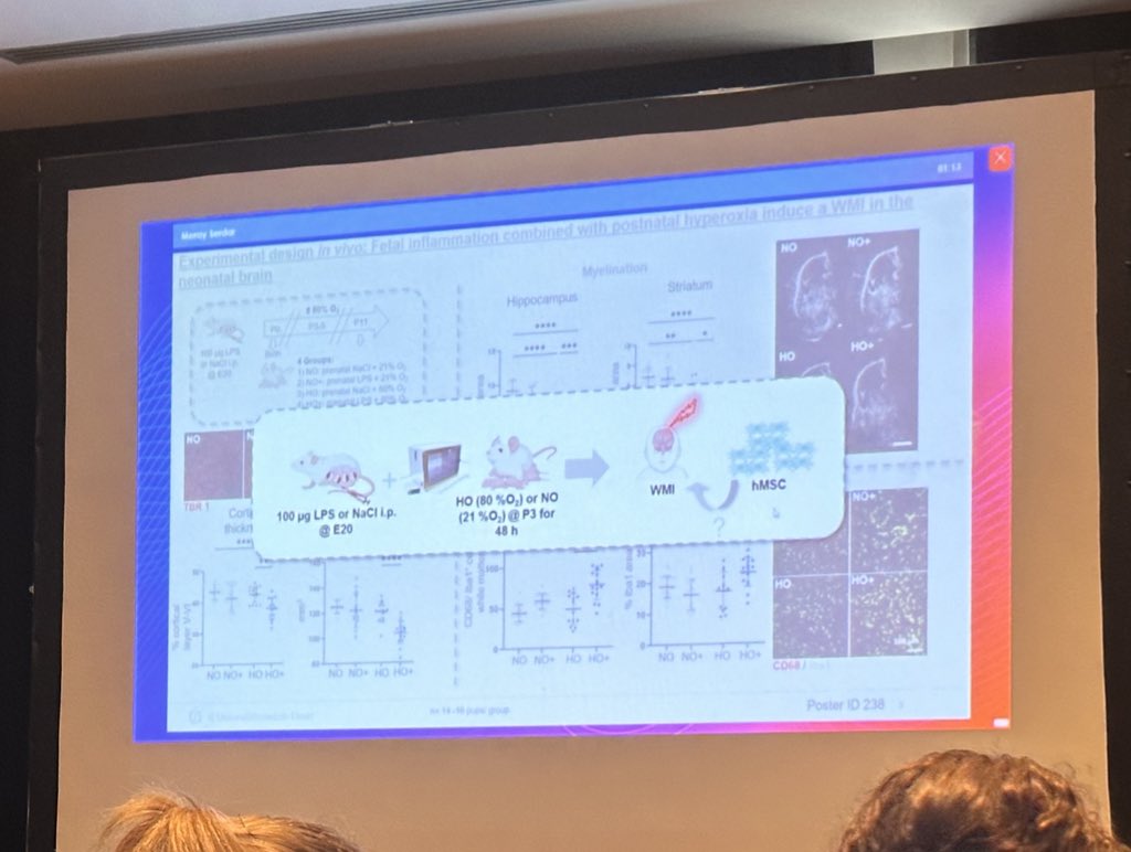 Dr Bobbi Fleiss (@bobbifleiss) on Twitter photo Brain focussed short talk session - <a href="/JENS_Congress/">jENS Congress: joint European Neonatal Societies</a>: outstanding work across clinical care bundles, preclinical modeling, understanding sex specific mechanisms in NE, IGF for treating EoP, socioeconomic status and outcome and more! Brain focussed short talk session - <a href="/JENS_Congress/">jENS Congress: joint European Neonatal Societies</a>: outstanding work across clinical care bundles, preclinical modeling, understanding sex specific mechanisms in NE, IGF for treating EoP, socioeconomic status and outcome and more!