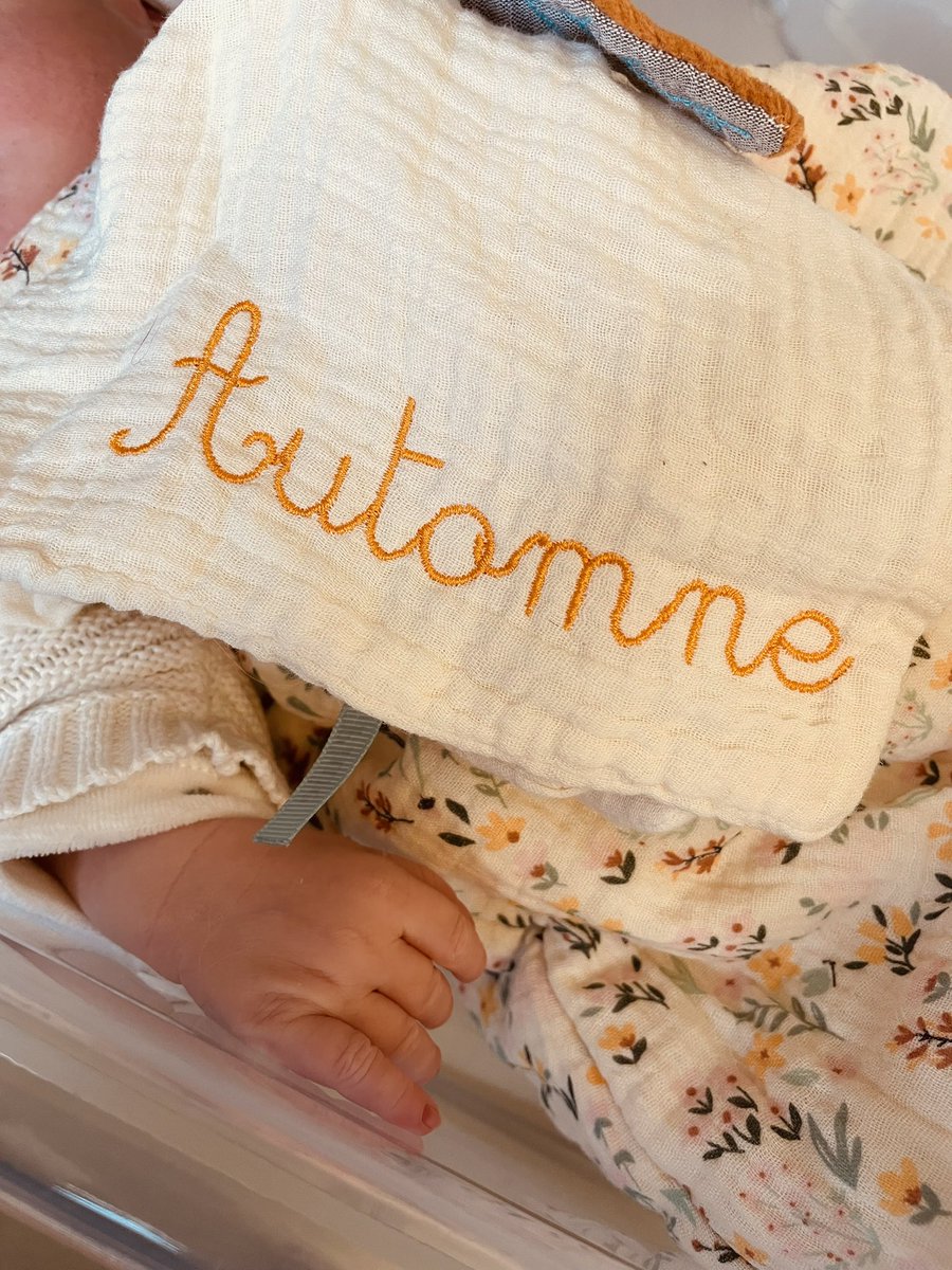 Périanthe🪁🎨 tweet media