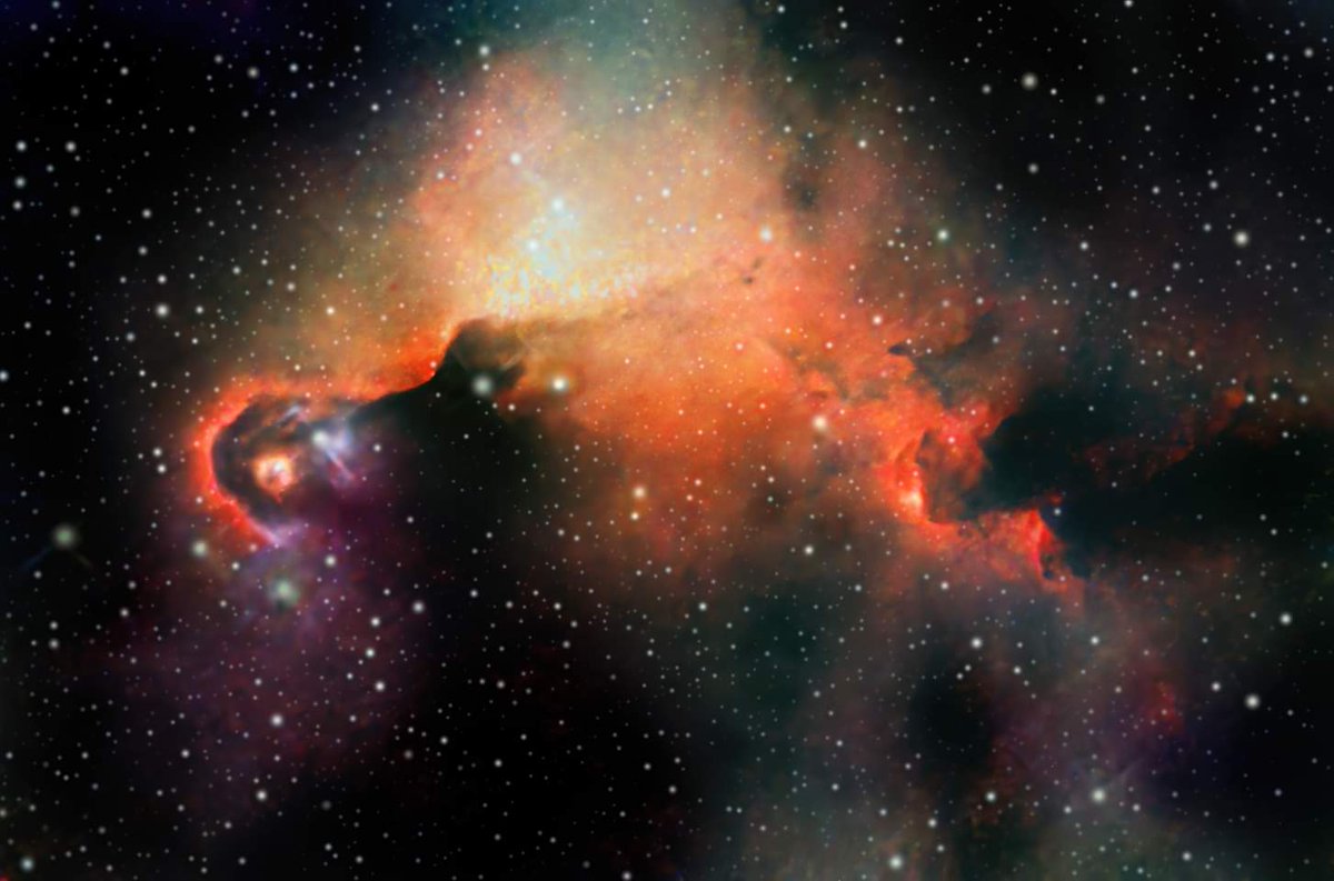itphotographyuk's tweet photo. Elephant's Trunk Nebula. Shot with 1000mm reflector.
#Astrophotography 
#altairastro
#onstep https://t.co/sCDVTvAOLF
